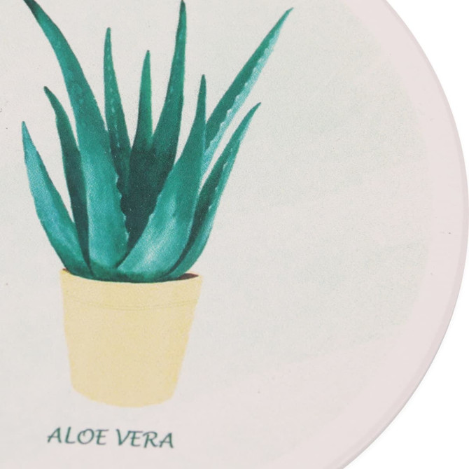 A coasters featuring a green aloe vera plant in a yellow pot, with a light background. It has a logo.