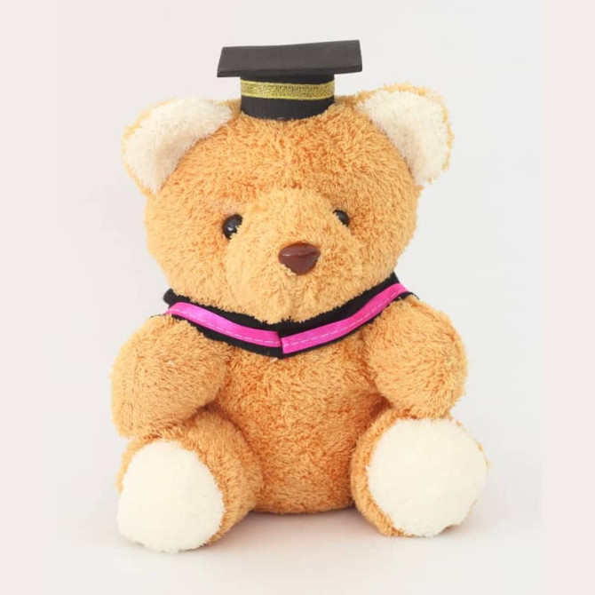 A plush teddy bear in brown with a black graduation cap and a colourful graduation sash. It has a soft white belly and paws.