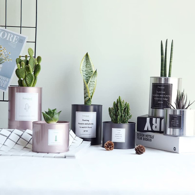 A collection of small tin cans in various colours, each containing different potted plants, featuring logos. A collection of small tin cans in various colours, each containing different potted plants, featuring logos.