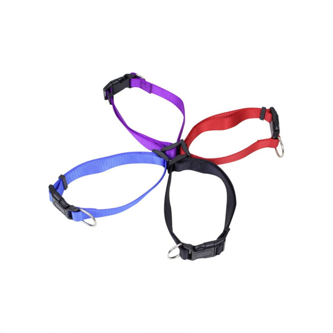 A selection of dog collars in purple, red, blue, and black, featuring plastic clips and metal rings.