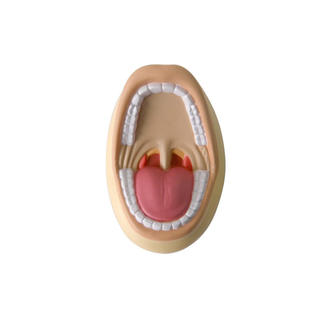 A mouth-shaped stress reliever in beige and pink, featuring teeth, a tongue, and a detailed palate.