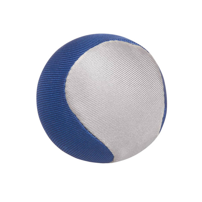 A ball featuring a blue and silver design, with a smooth texture and a rounded shape. It includes a logo.