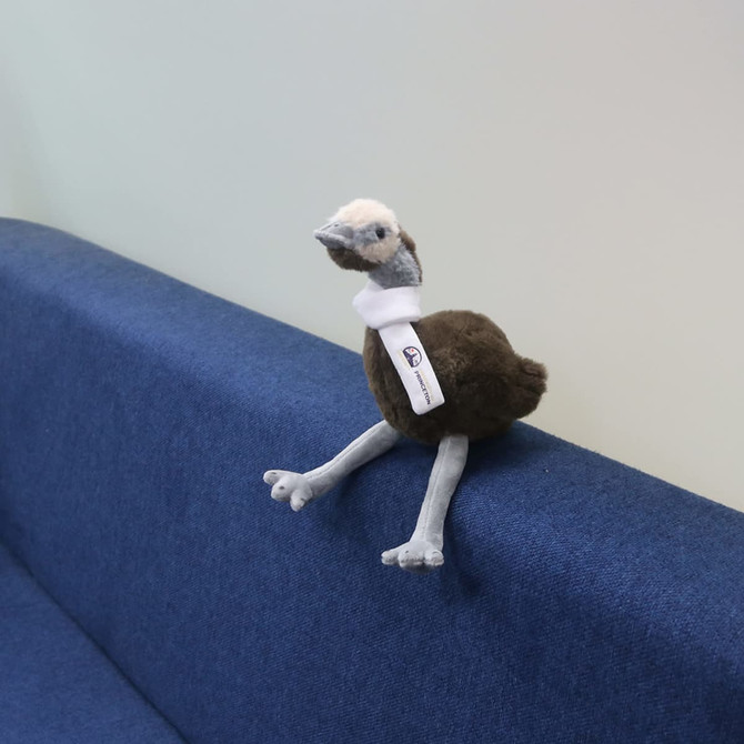 A brown and grey plush emu toy sits on a blue couch, with a small tag attached.