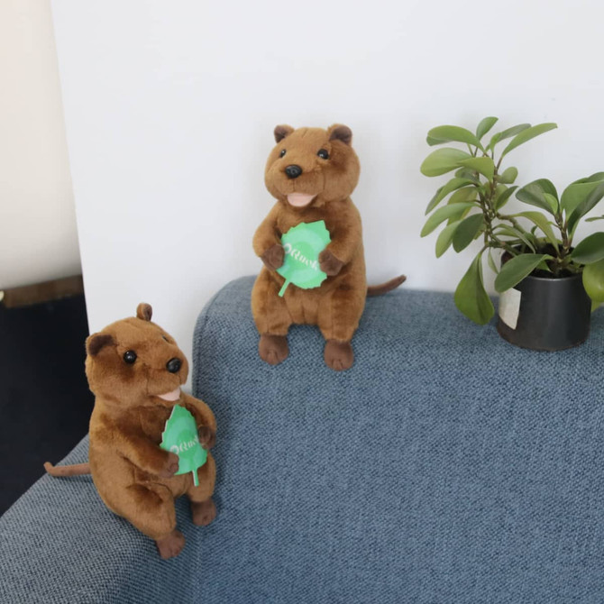A pair of brown quokka plush toys sitting on a grey couch beside a small potted plant.