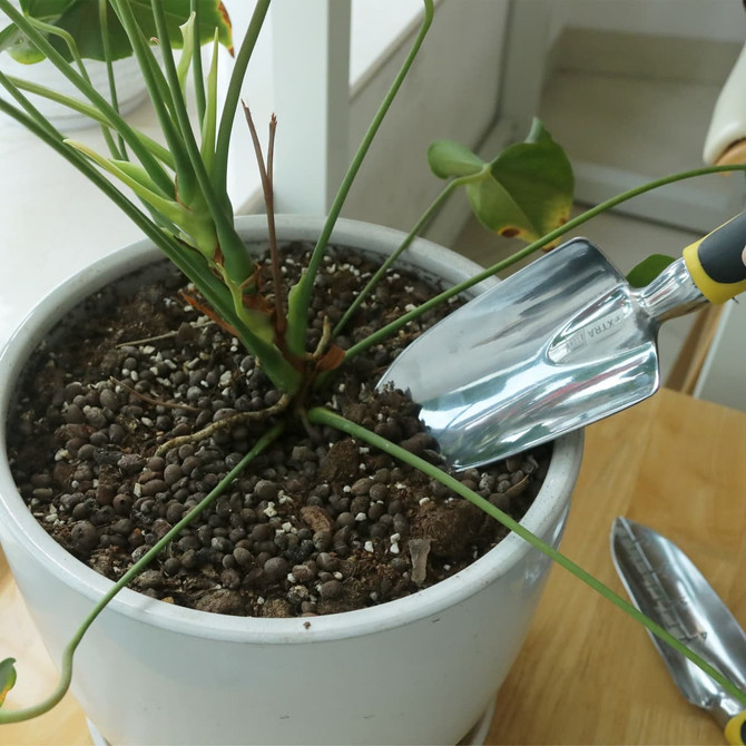 A shiny silver trowel is shown digging into the soil of a potted plant, featuring green foliage.