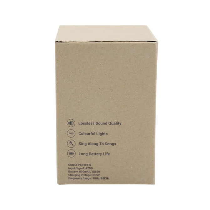 A brown box containing the Caroline Portable Karaoke Machine, featuring icons for sound quality, lights, and battery life.