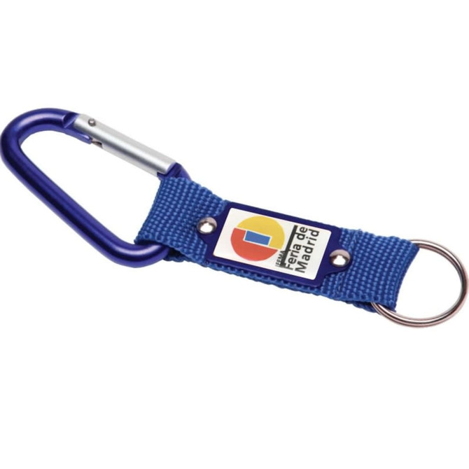 A blue keyring with a carabiner clip and a fabric strap featuring a logo.