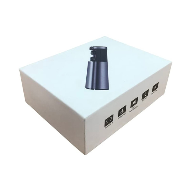 A sleek, white box featuring a grey Royston TWS earbuds design and a branding logo.