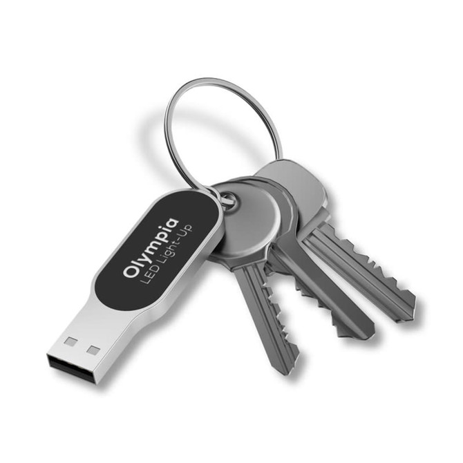 A silver LED flash drive attached to a keyring alongside three metallic keys, featuring a black and silver design.