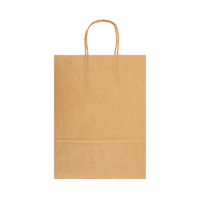 A large brown paper bag with handles, featuring a plain design and no visible logos.