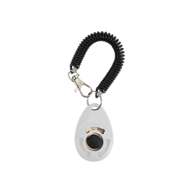 A training clicker in white with a black coiled lanyard and a metal clasp for attachment.