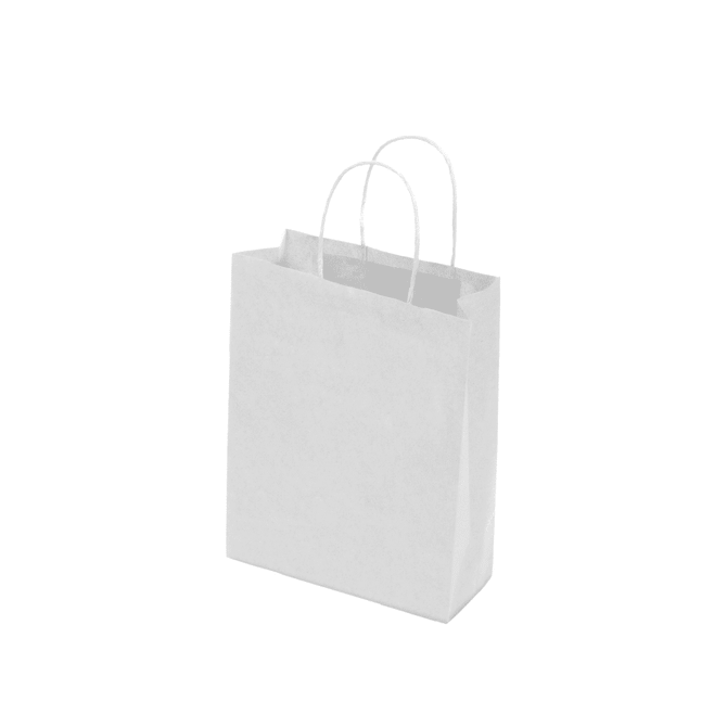 A small white kraft paper bag with twisted paper handles and a minimalist design.