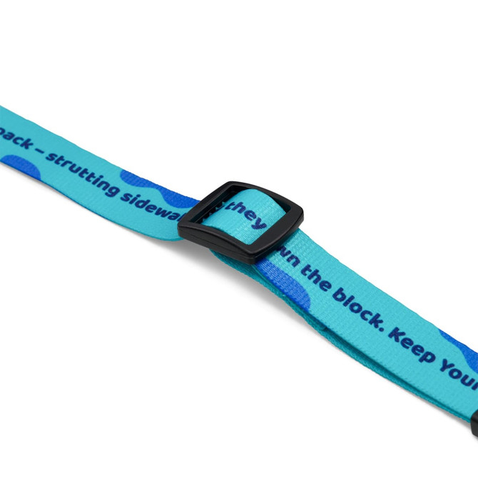 A vibrant turquoise dog collar featuring a black buckle and playful patterns. It includes branding.