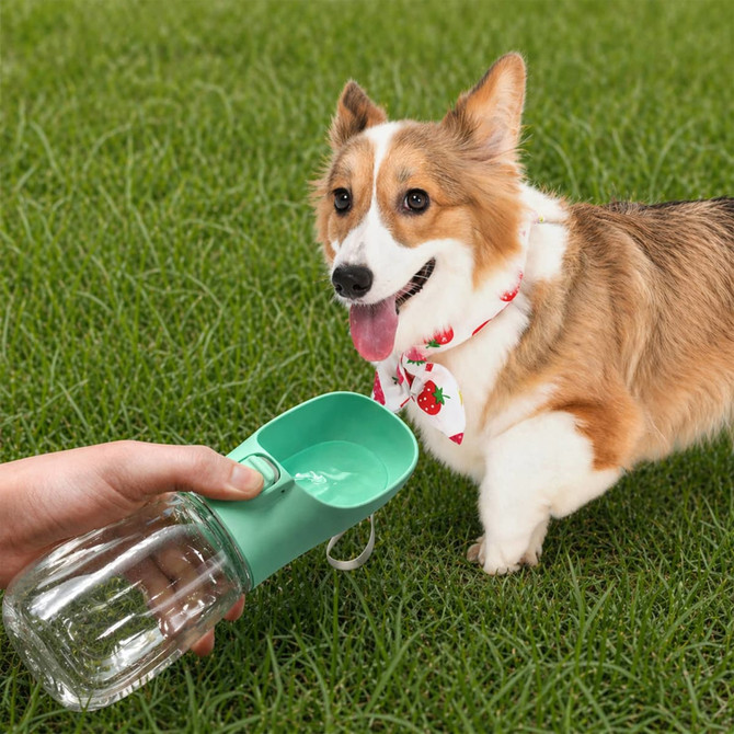 A drink bottle in green with a transparent base and a built-in bowl, beside a dog on grass.