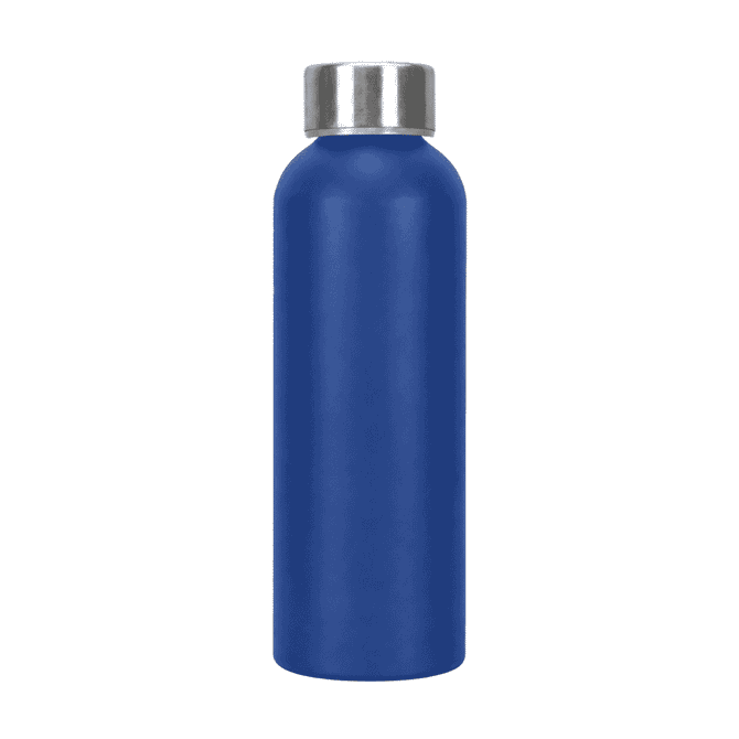 A drink bottle in a vibrant blue colour with a silver screw-top lid and a smooth finish. It features a logo.