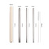 A straw set featuring four stainless steel straws in various sizes, with a cleaning brush and a light-coloured case.