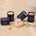 A set of four navy glass candles with varying scents, surrounded by decorative stones and a flower.