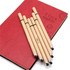 A set of brown eco-friendly stylus pens with touch heads arranged on a red notebook featuring a raised design and logo.