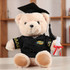 A plush teddy bear dressed in a black graduation gown and cap, holding a rolled diploma with a red ribbon.