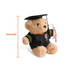 A plush toy bear dressed in a graduation gown and cap, holding a diploma. The bear is tan in colour and measures 25cm tall.