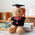 A plush toy bear in a graduation cap and gown, featuring a red bow tie. The bear is light brown in colour.
