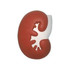 A large kidney-shaped stress reliever in red and white with a smooth finish and a logo.