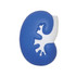 A blue kidney-shaped stress reliever with a white accent and a textured surface. It has a logo displayed.