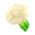 A white cauliflower-shaped stress reliever with green stalks, featuring a smooth texture and a vibrant design.