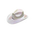 An iridescent cowboy hat in a light colour, featuring a white band and a logo.