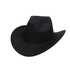 A classic black felt fedora cowboy hat with a wide brim and structured crown. Features a logo.