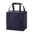 A drink bottle cooler in navy blue with a zippered top and sturdy handles for easy carrying.