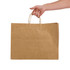 A hand holds an extra large brown paper bag with handles. The bag has a simple design and a visible logo.