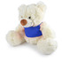A Coconut Plush Teddy Bear featuring a soft white fur texture and a blue shirt.