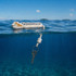 A floating keychain in white, featuring a logo, with a key attached, partially submerged in clear blue water.