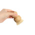 A bamboo kitchen dish brush with natural bristles, held in a hand. The handle features a light wood finish.