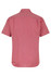 A short sleeve button-up shirt in a red and white striped pattern, featuring a back yoke and collar.