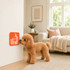 An orange 4-section dog enrichment lick mat is attached to a wall, with a dog nearby in a cozy living room setting.