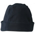 A polar fleece beanie in black, featuring a fold-up brim and a seamless top design. It has a logo.