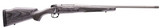 Platinum Stalker 25 CM 20" TB Grey Lam Wd 5rd