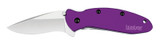 Kershaw Scallion-Purple Knife