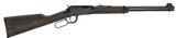 H1 Garden Gun 22Mag 18.5" Blk/Blk Ash, 12-rd