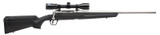 AxisII XP SS 22-250 22"Bbl Banner 3-9X40
