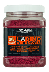 DOMAIN DLWCS1LB   LADINO WHITE CLOVER