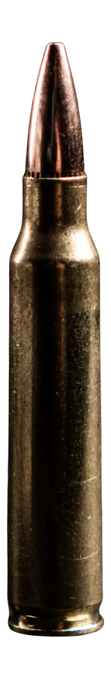 ATOMIC 46610 556         77  HPBT-AD77-20    20/10