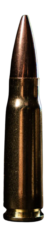 ATOMIC 88431 762         220 TCSSUB-20       20/10