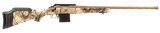 RUG 46990 AMER II PH   204R    22 10R  BRNTBRZ
