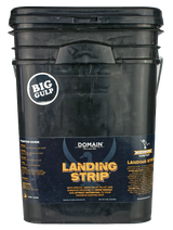 DOMAIN LSFP5       LANDING STRIP