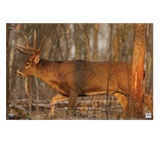 Birchwood Casey 37481 EZE-Scorer  Whitetail Deer Paper Hanging 23" x 35" Multi-Color 2 Per Pkg