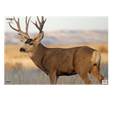 Birchwood Casey 37482 EZE-Scorer  Mule Deer Paper Hanging 23" x 35" Multi-Color 2 Per Pkg