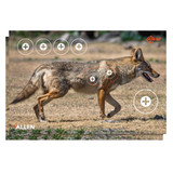 EZ-Aim 15284 Four Color  Coyote Paper Hanging 23" x 35" Multi-Color 2 Per Pkg